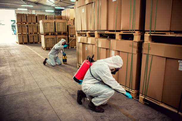 Best Bed Bug Extermination  in Hillsboro, ND