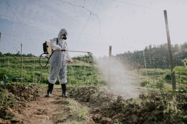 Reliable Hillsboro, ND Pest Control Solutions