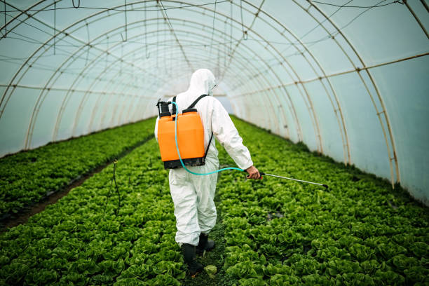 Best Insect Control  in Hillsboro, ND
