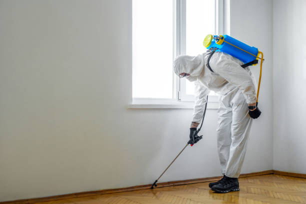 Best Pest Removal Services  in Hillsboro, ND