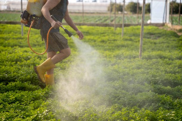  Hillsboro, ND Pest Control Pros