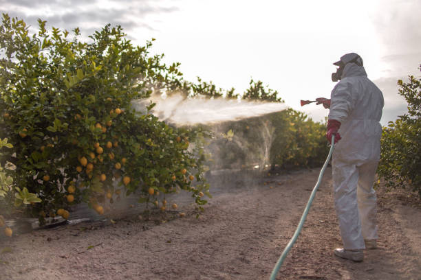 Best Bird Control  in Hillsboro, ND
