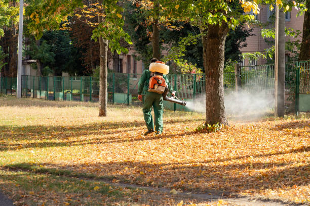 Best Termite Control Services  in Hillsboro, ND
