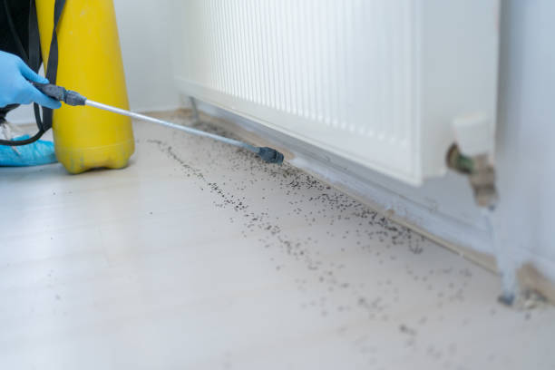 Best Pest Control Cost  in Hillsboro, ND