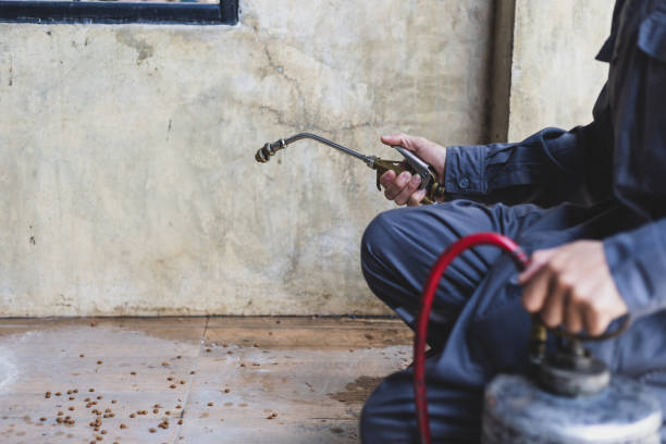 Best Best Pest Control Companies  in Hillsboro, ND