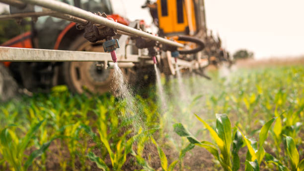 Best Mosquito Control Services  in Hillsboro, ND