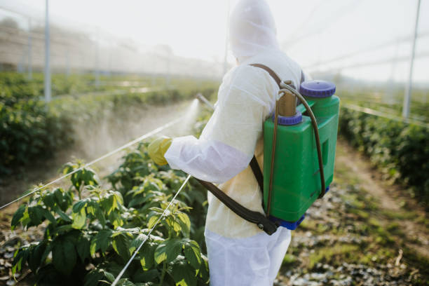 Insect Control in Hillsboro, ND